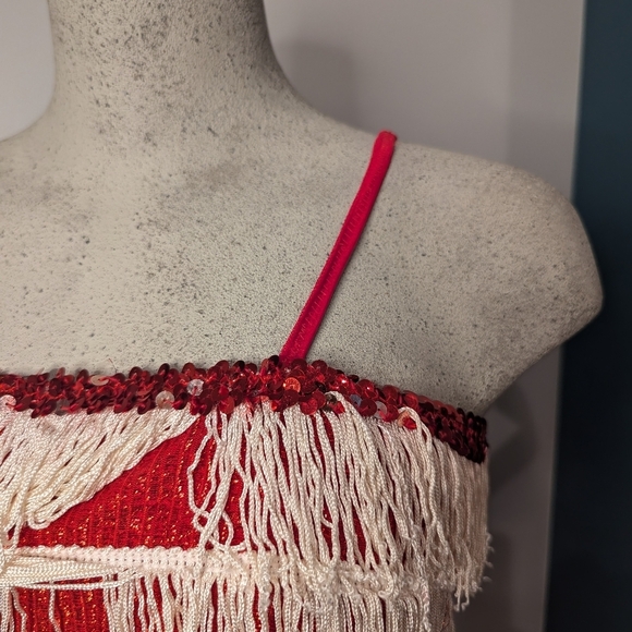 Women’s Red sparkle Fringe 1920’s Flapper Great Gatsby Costume Dress Size XS/S - Picture 12 of 14